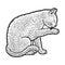 Cat grooming line art sketch vector illustration