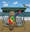 Cat with guitar sings song on beach