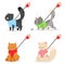 Cat harness and leash vector icon set