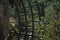 A cat having a rest on the giant water mill wheel