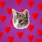 Cat head with bright hearts collage, pop art concept design. Minimal love background