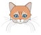 Cat head. Face kitten, whisker and ear, muzzle and wool. Vector illustration