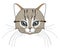 Cat head. Face kitten, whisker and ear, muzzle and wool. Vector illustration