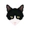 Cat head. Pixel art. Pet animal.