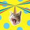 Cat head with rainbow, collage pop art concept design. Minimal summer background