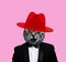 Cat head with red hat and smoking suit