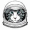 Cat head. Vector animal portrait. Face of kitten. Astronaut animal. Vector portrait. Cosmos and Spaceman. Space
