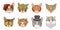 Cat heads. Cute funny cats avatar muzzles with accessories. Portraits with flower crown, hats and glasses. Ladies and