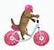 Cat in a helmet rides the bicycle