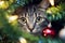 Cat hiding in Christmas tree between lights and baubles