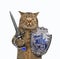 Cat holds a shield and a sword 2