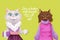 Cat in human clothes, girls talk. Vector cartoon illustration