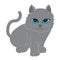 Cat Illustration clipart. A long-tailed gray cat sitting. Facing straight and It has big blue eyes.