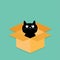 Cat inside opened cardboard package box. Flat design style.