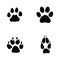 Cat, jaguar, dog, fox footprint