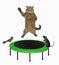 Cat jumping on green round trampoline