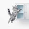 a cat is jumping up into the air to catch a frisbee in front of a white cabinet with a glass door on it