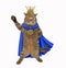 Cat king in a blue cloak