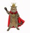 Cat king in a red cloak