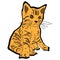Cat kitten Scouts icon cartoon design abstract illustration animal