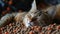 A cat laying down on a pile of food pellets, AI