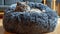 A cat laying on a fluffy bed in the living room, AI