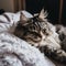 A cat laying on top of a bed next to a pillow. AI generative image.