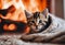 a cat laying underneath a blanket with an open fire place in the background