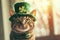 cat with leprechaun hat decorated with shamrock leaves