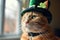 cat with leprechaun hat decorated with shamrock leaves