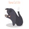 The cat licks its paw color flat icon