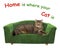 Cat lies on a green divan 2