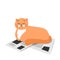 The cat lies on the newspaper. Cute cartoon orange cat.