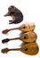 The cat lies next to the three mandolins on a white