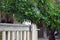 The cat lies resting on a stone fence in the background of trees and a house.