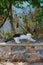 A cat lies in the shadows on a stone fence in the old town of Lindos, Rhodes, Greece