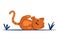 Cat litte kitten vector character. Cute feline kitty animal.