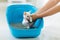 Cat in litter box. Kitten in toilet. Home pet care