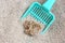 Cat Litter with cat sand scoop