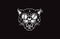 Cat logo illustration. Evil cat. Emblem design on black background