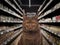 Cat looking at the camera in front of and in the middle of a food shelf in a pet supermarket. The background is blurred and dark