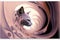 a cat is looking out of a tunnel of pink and purple swirls with a white background and a black cat\\\'s head is in the cent