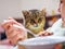 Cat looks closely at the plate with food, woman dines, cat begs