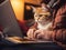 cat looks at the hands hands of the young woman who in front of the laptop works remotely