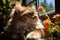 Cat lounging contentedly in a sunlit windowsill - stock photography concepts