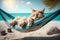 Cat lounging on a hammock under the sun taking sunbath, Generative Ai