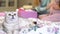 Cat lying on the bed. Pregnant woman shows her friend a tiny baby things.