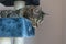 Cat lying on a scratcher, looking down