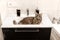 Cat lying in the sink