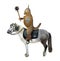 Cat with mace rides horse